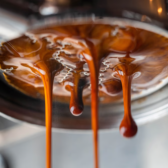 Baratza Vario + Black - Image 9