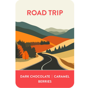 Voyager Road Trip Coffee Beans